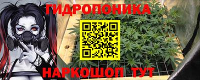 гидропоника Ачхой-Мартан