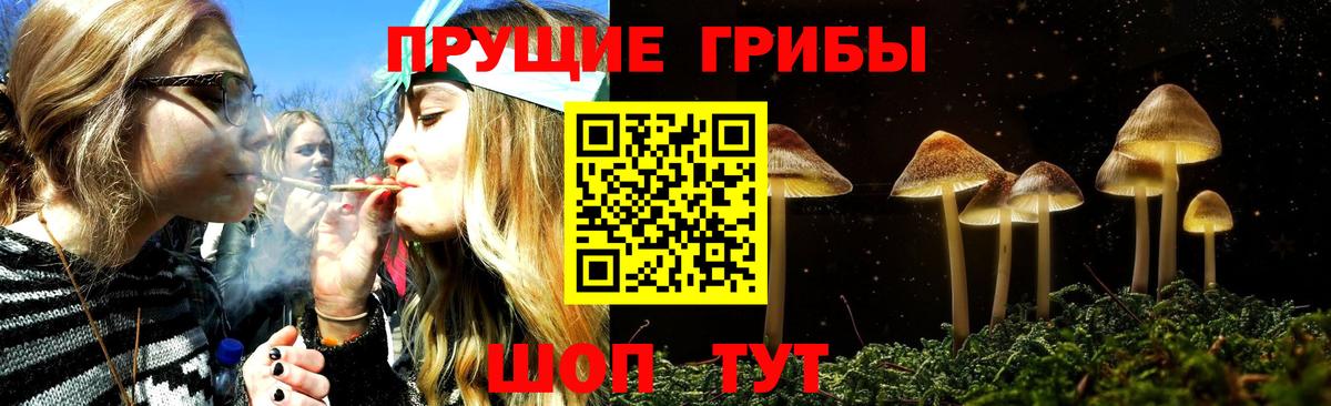 Псилоцибиновые грибы Cubensis  Вход с VPN  Псилоцибиновые грибы ЛСД  Белогорск 