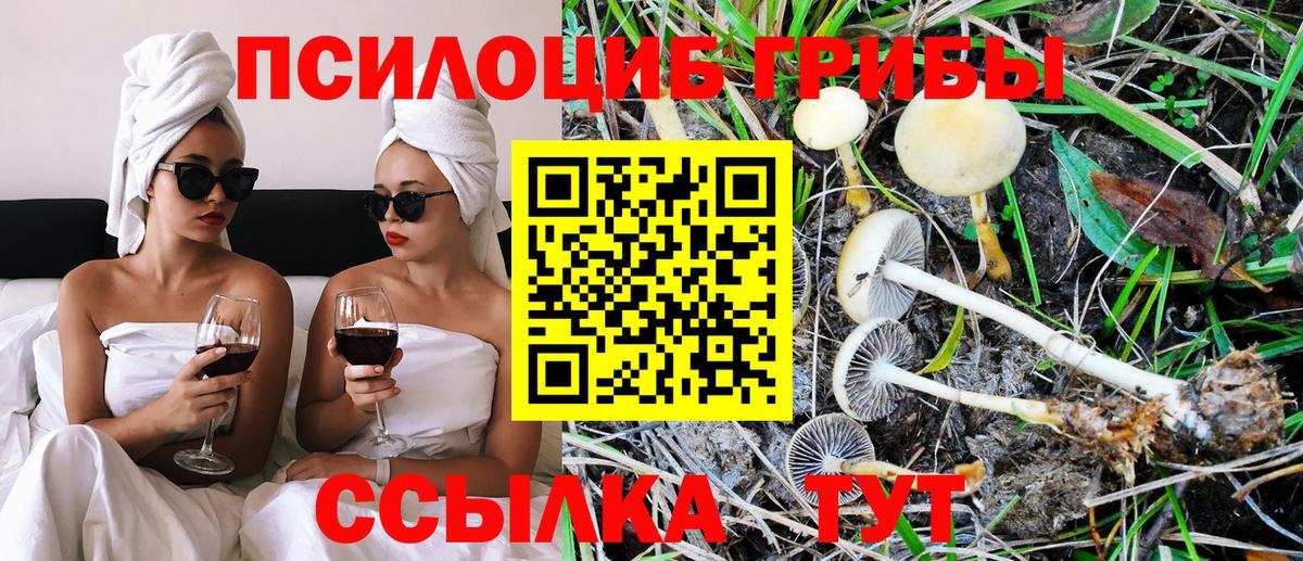 Псилоцибиновые грибы GOLDEN TEACHER Белогорск